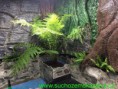 /album/a2017/img-5228-jpg/